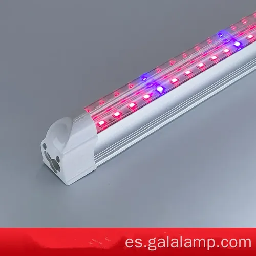 Mejorar el crecimiento de las plántulas con iluminación completa del espectro T5